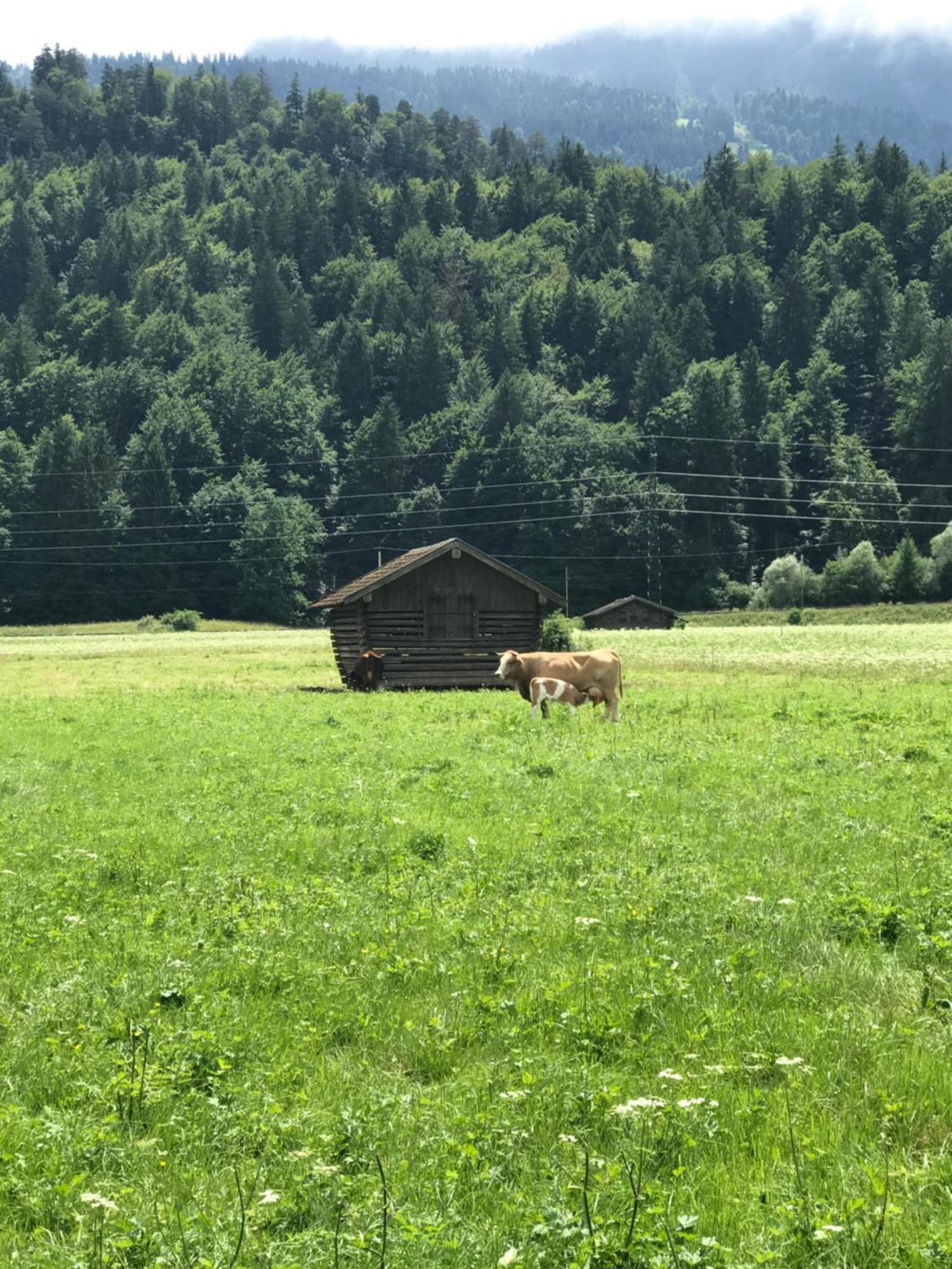 Apartment Garmisch Zugspitze Grainau Εξωτερικό φωτογραφία